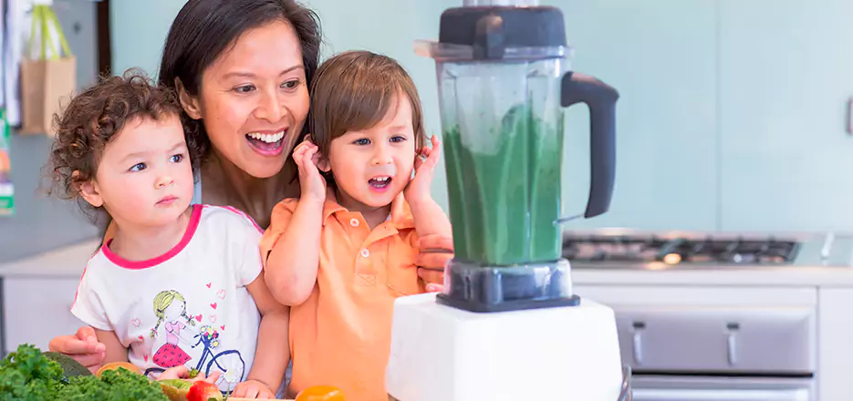 Juicer and Mixer Blender Repair in Melrose