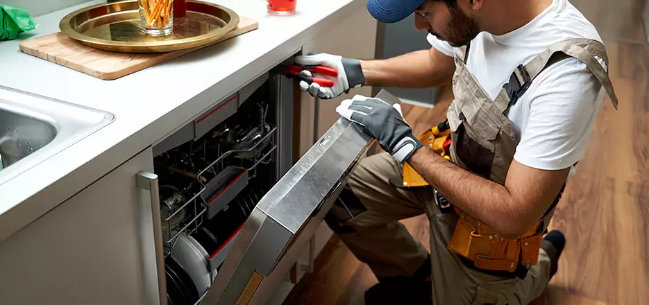 Same Day Dishwasher Not Draining Repair in Melrose